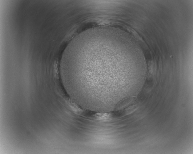 X0000070820667200606301904