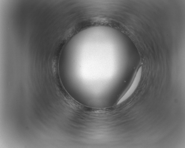 X0000070820708200606301902