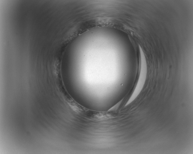 X0000070820712200606301902