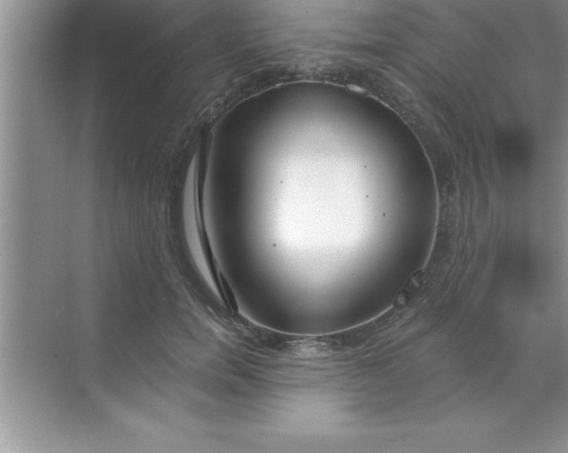 X0000070820750200606301902