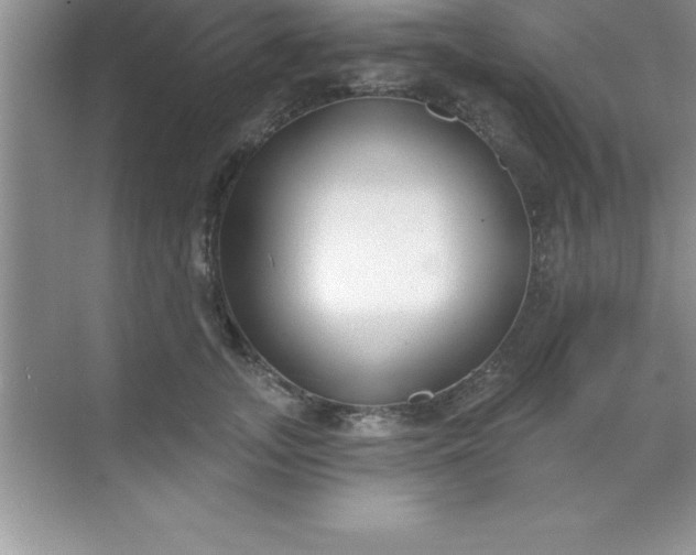 X0000070820755200606301902