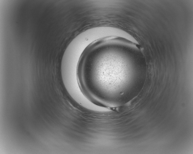 X0000070820760200606301902