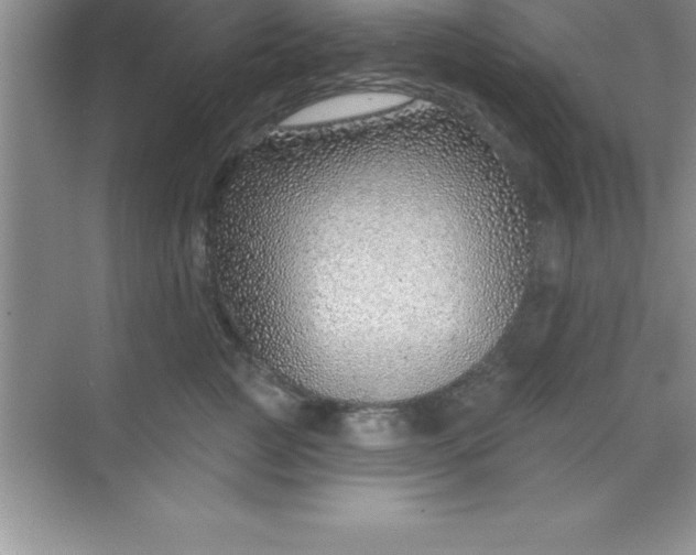 X0000070820761200606301902