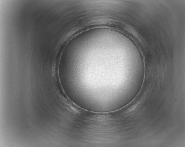 X0000070820778200606301901