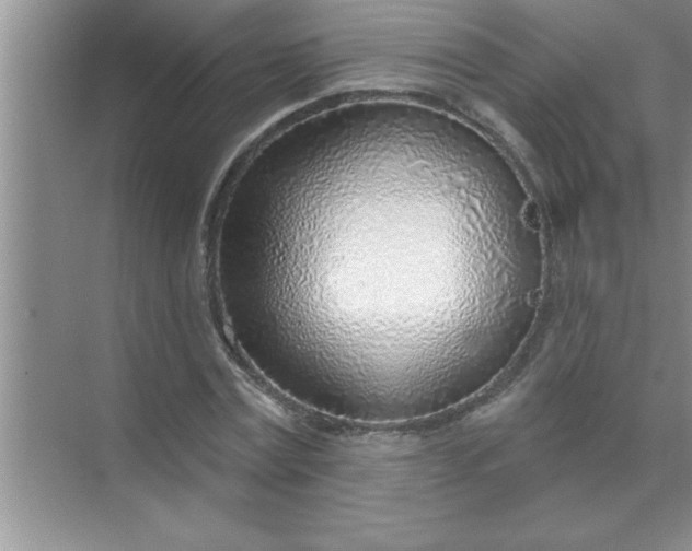 X0000070820779200606301901