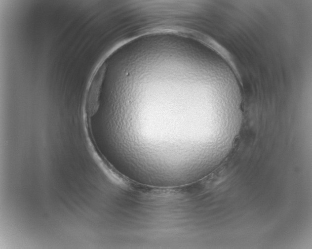 X0000070820811200606301901