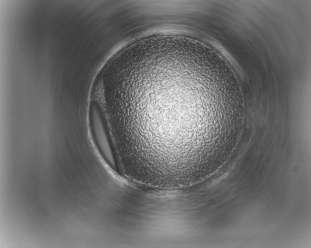 X0000070820853200606301900