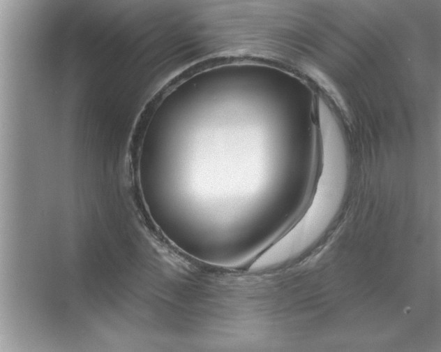 X0000070820876200606301900