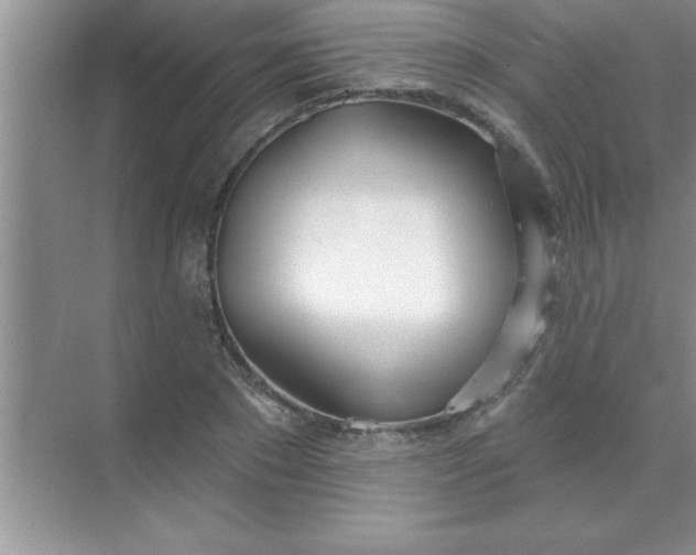 X0000070820881200606301859