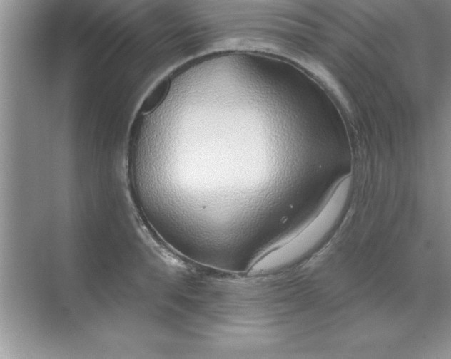 X0000070820896200606301859