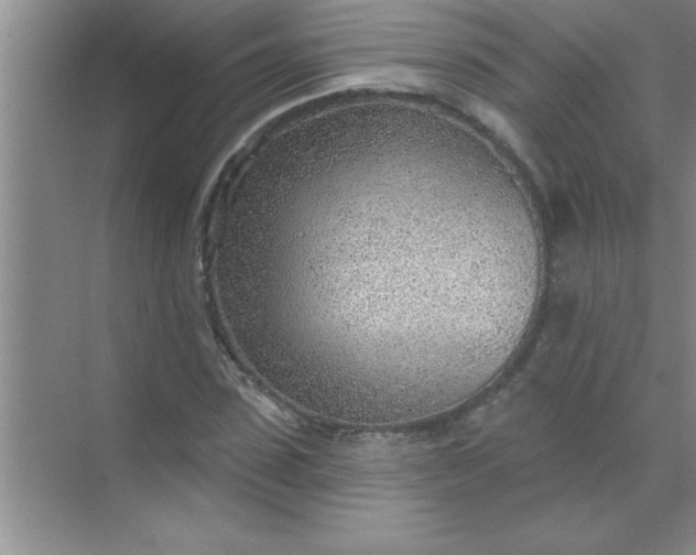 X0000070820923200606301858