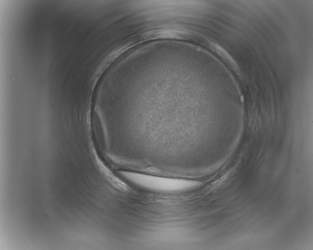 X0000070820938200606301859