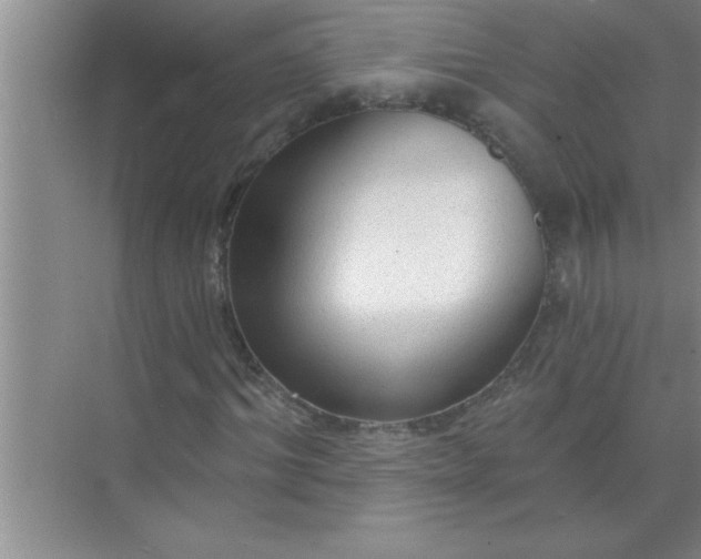 X0000070820964200606301858