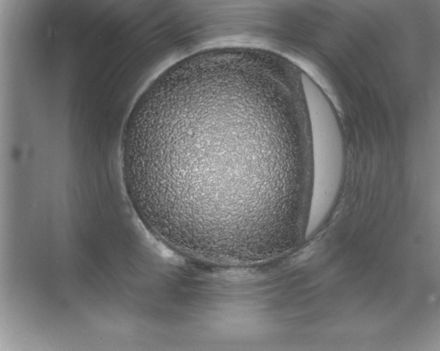X0000070820998200606301857
