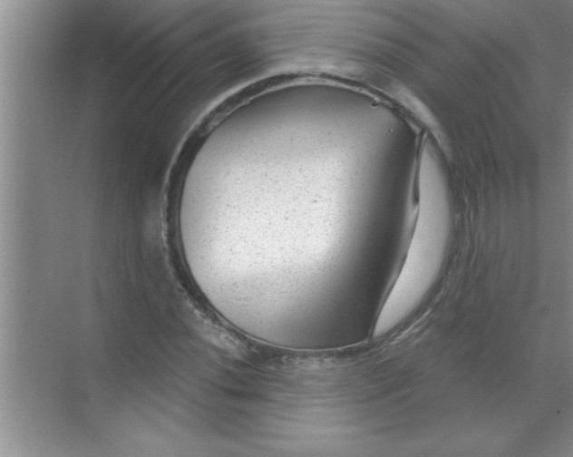 X0000070821020200606301857