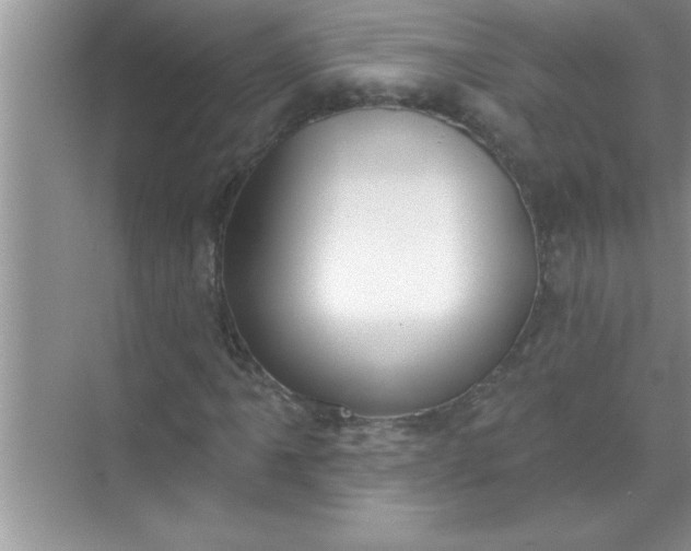 X0000070821061200606301856