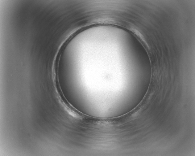 X0000070821082200606301856
