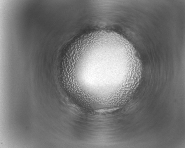 X0000070821105200606301855