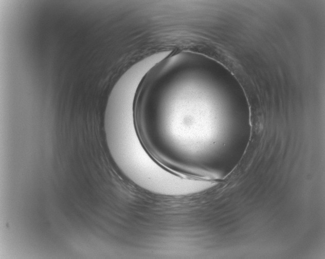 X0000070821108200606301855