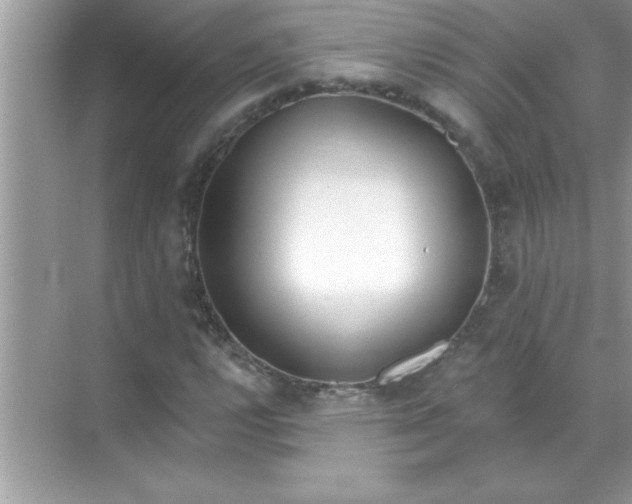 X0000070821112200606301855