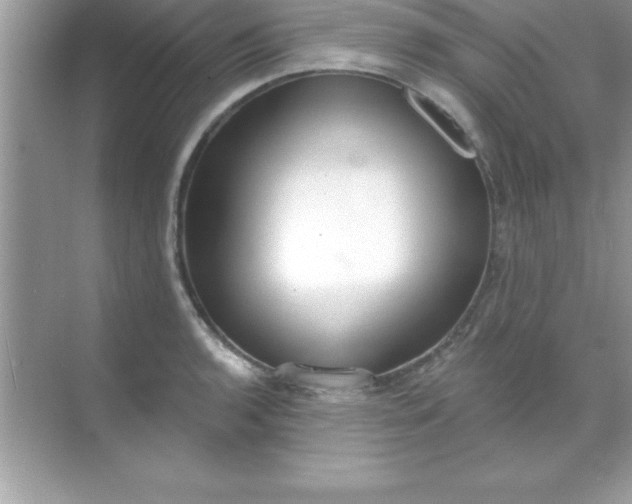 X0000070821136200606301855