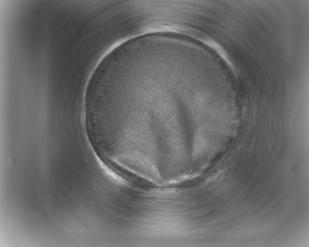 X0000070821143200606301856