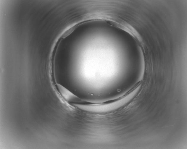 X0000070821144200606301856