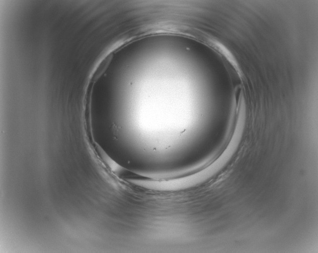 X0000070821146200606301856