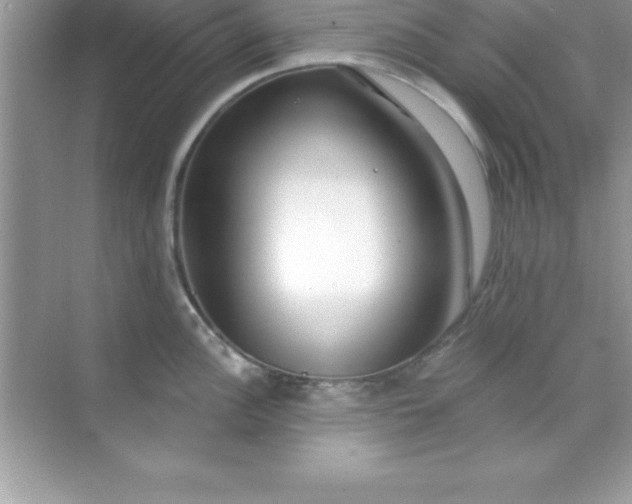 X0000070821148200606301856