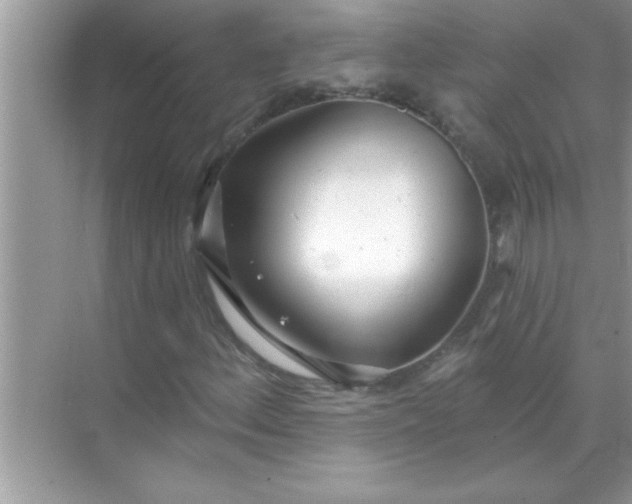X0000070821156200606301855