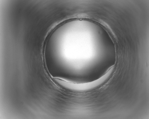X0000070821176200606301854
