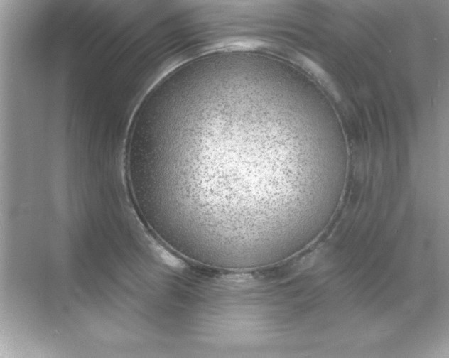 X0000070821186200606301854
