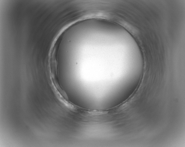 X0000070821200200606301854