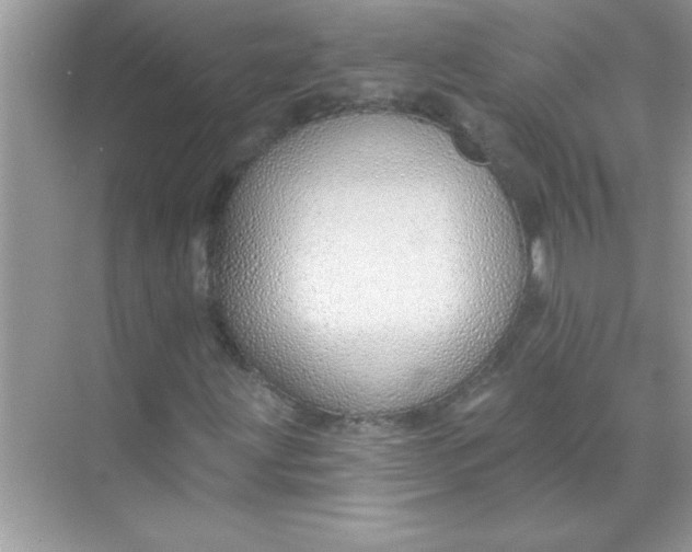 X0000070821203200606301853