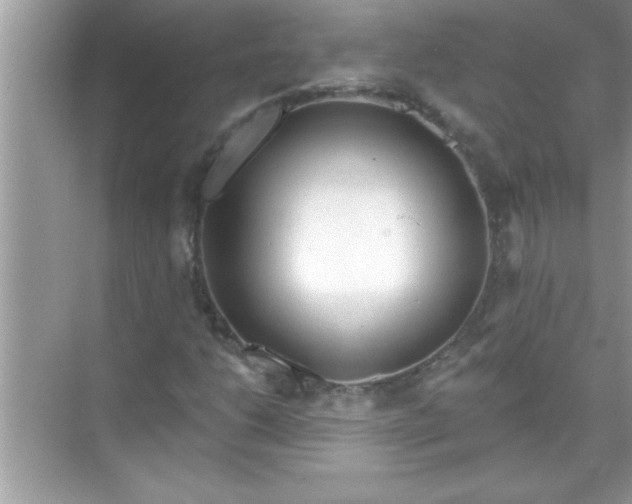 X0000070821206200606301853