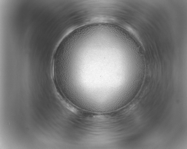 X0000070821227200606301854