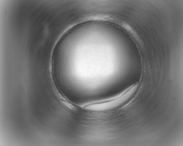 X0000070821232200606301854