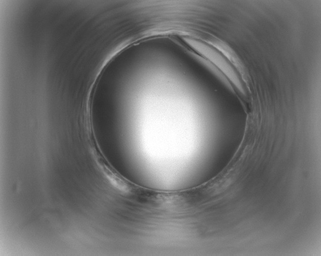 X0000070821242200606301854