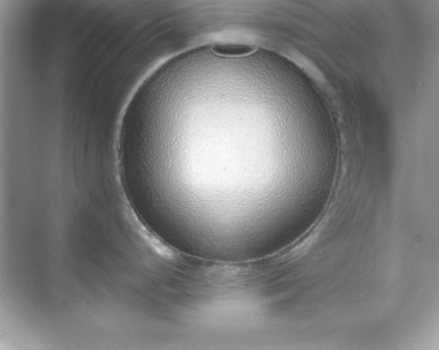X0000070821248200606301854
