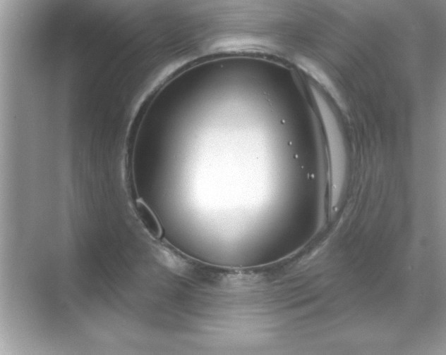 X0000070821277200606301853