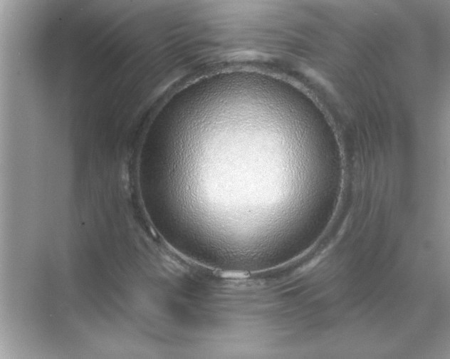 X0000070821305200606301852