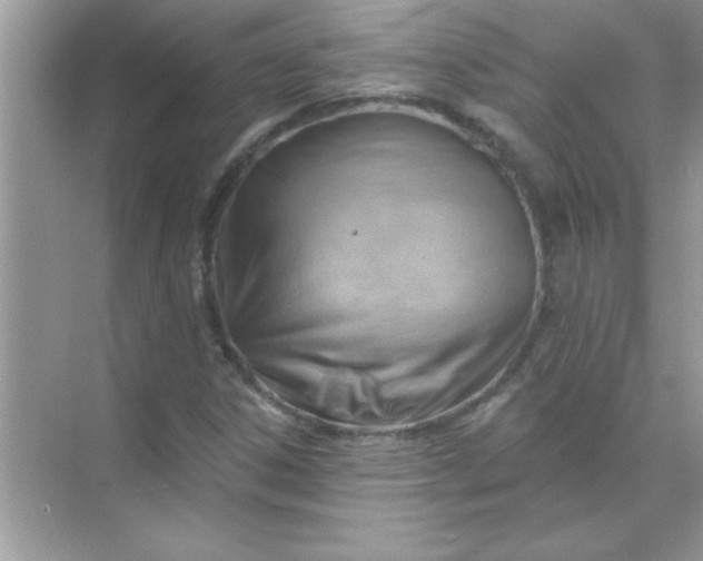 X0000070821306200606301852