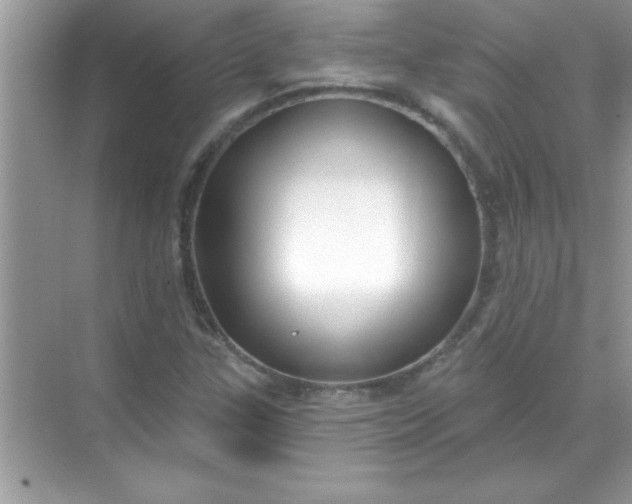 X0000070821307200606301852