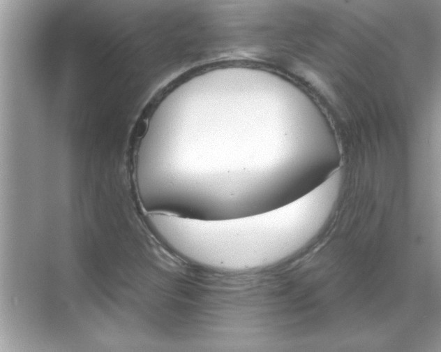 X0000070821308200606301852