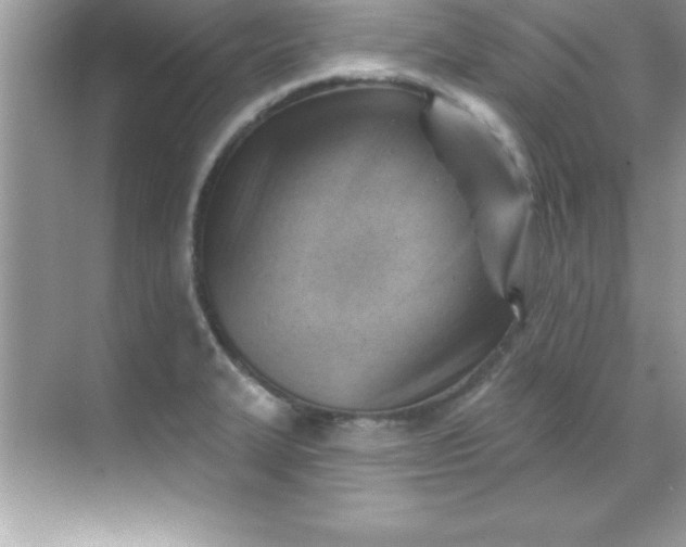 X0000070821327200606301852