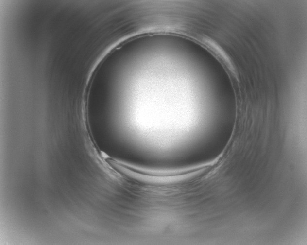X0000070821340200606301852