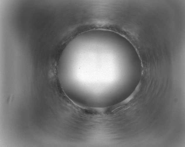 X0000070821349200606301852