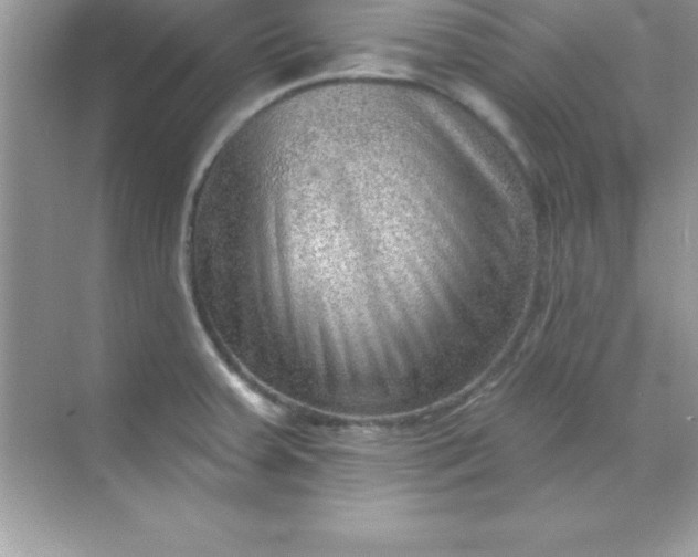 X0000070821379200606301851