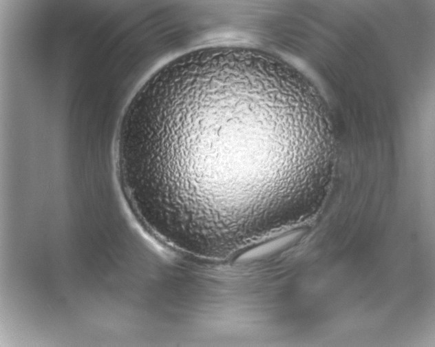 X0000070821383200606301851