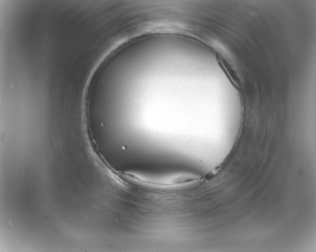 X0000070821384200606301851